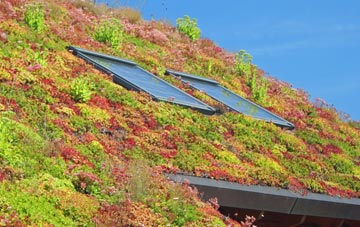 Bromley Heath living roof systems